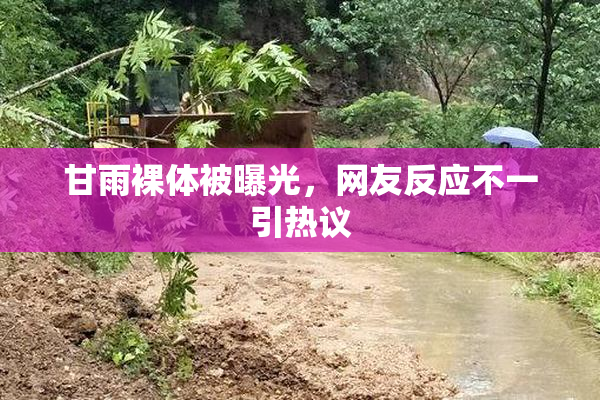 甘雨裸体被曝光，网友反应不一引热议