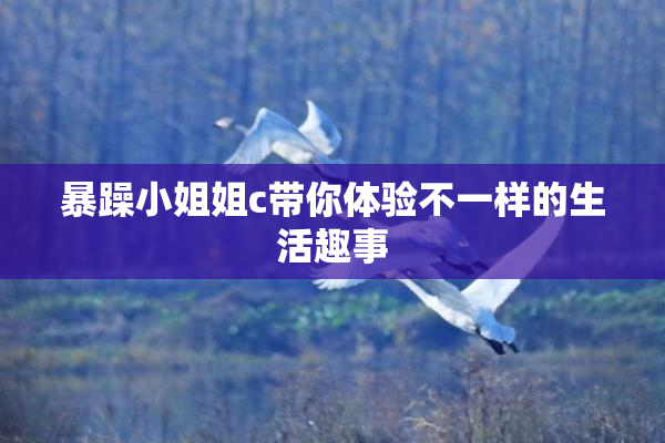 暴躁小姐姐c带你体验不一样的生活趣事