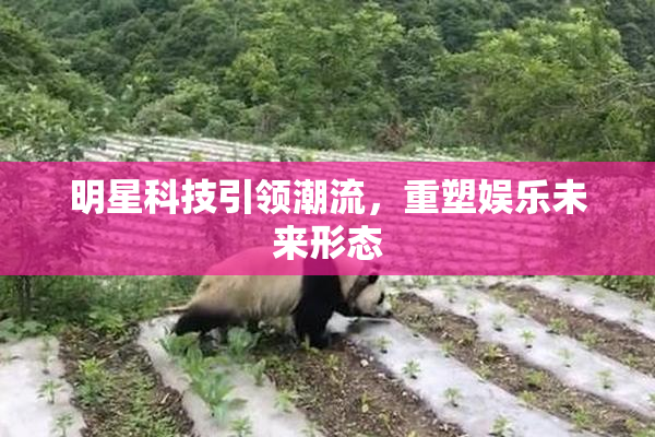 明星科技引领潮流，重塑娱乐未来形态
