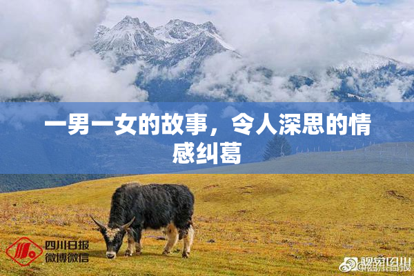 一男一女的故事，令人深思的情感纠葛