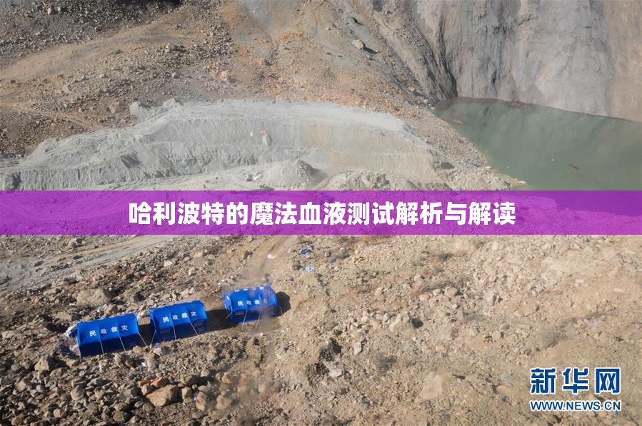 哈利波特的魔法血液测试解析与解读