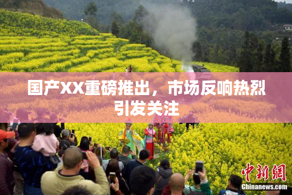 国产XX重磅推出，市场反响热烈引发关注