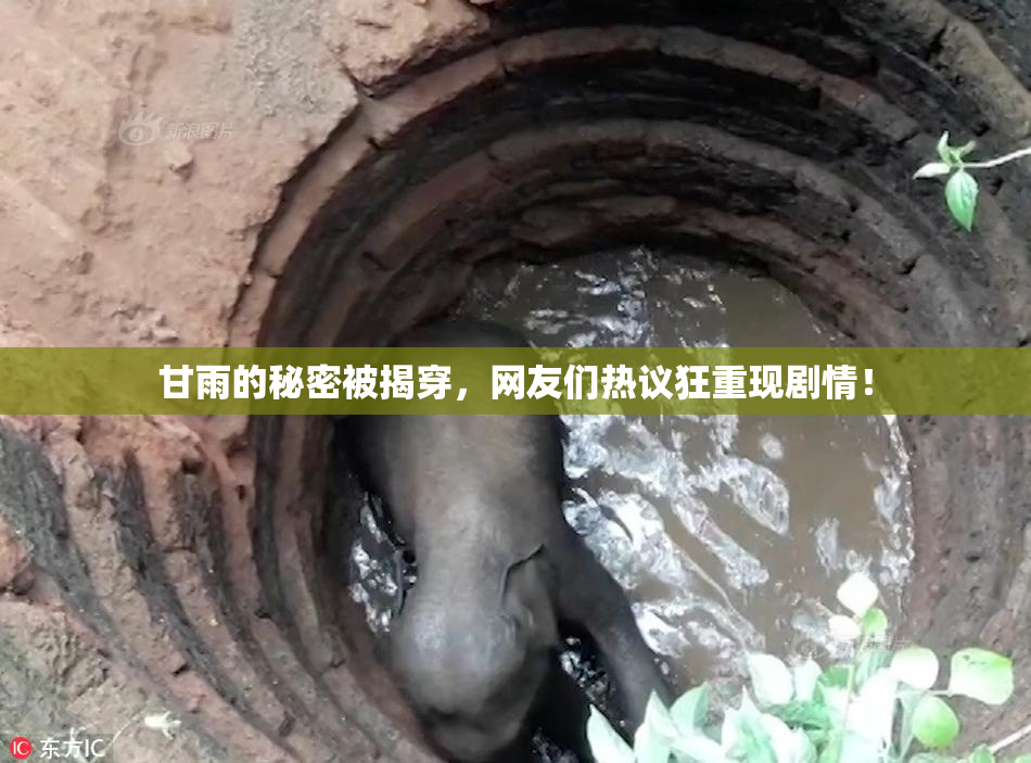 甘雨的秘密被揭穿，网友们热议狂重现剧情！