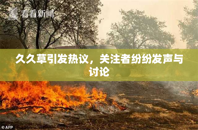 久久草引发热议，关注者纷纷发声与讨论