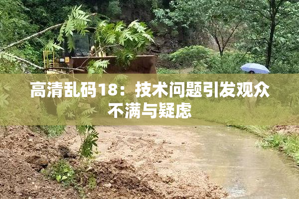 高清乱码18：技术问题引发观众不满与疑虑
