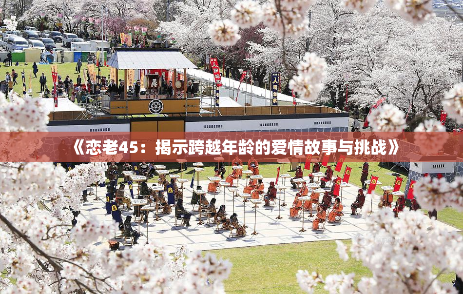 《恋老45：揭示跨越年龄的爱情故事与挑战》
