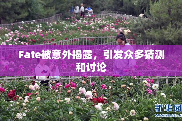 Fate被意外揭露，引发众多猜测和讨论