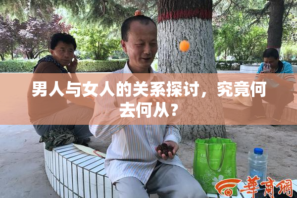 男人与女人的关系探讨，究竟何去何从？