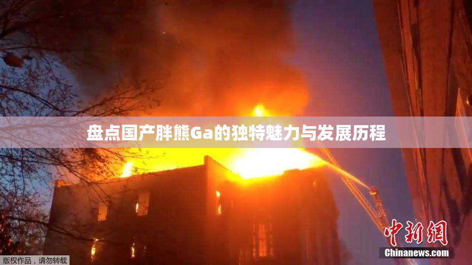 盘点国产胖熊Ga的独特魅力与发展历程
