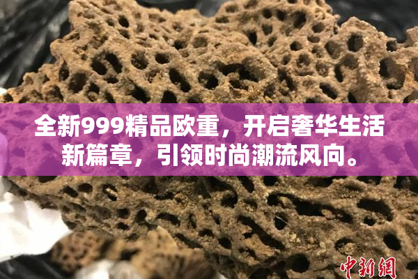 全新999精品欧重，开启奢华生活新篇章，引领时尚潮流风向。