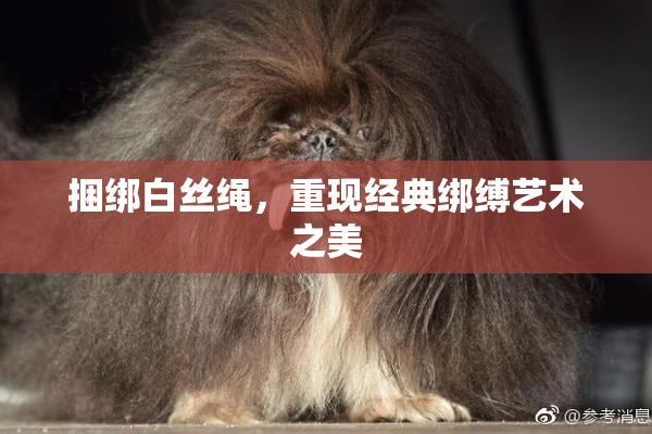 捆绑白丝绳，重现经典绑缚艺术之美