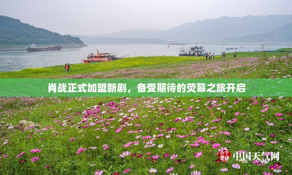 肖战正式加盟新剧，备受期待的荧幕之旅开启