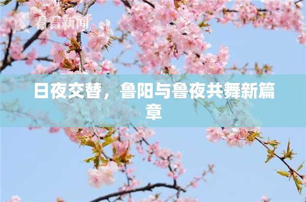 日夜交替，鲁阳与鲁夜共舞新篇章