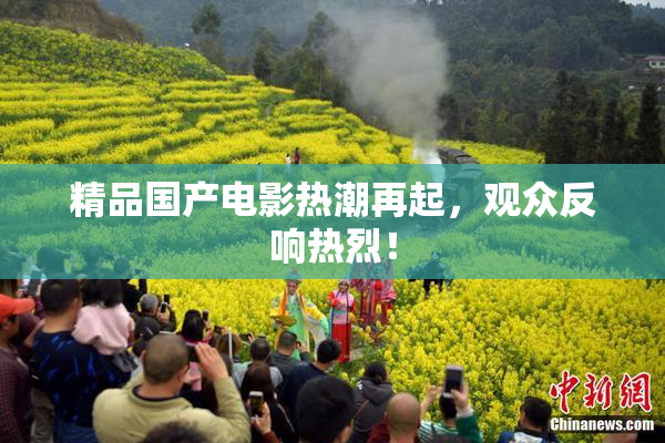 精品国产电影热潮再起，观众反响热烈！