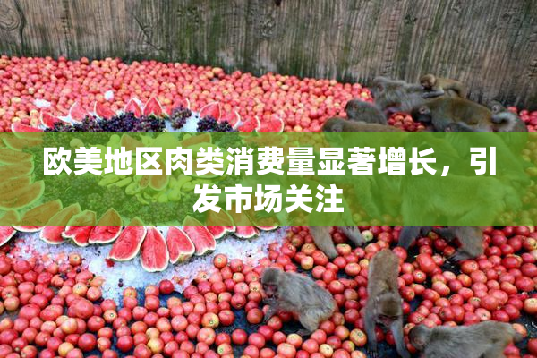 欧美地区肉类消费量显著增长，引发市场关注