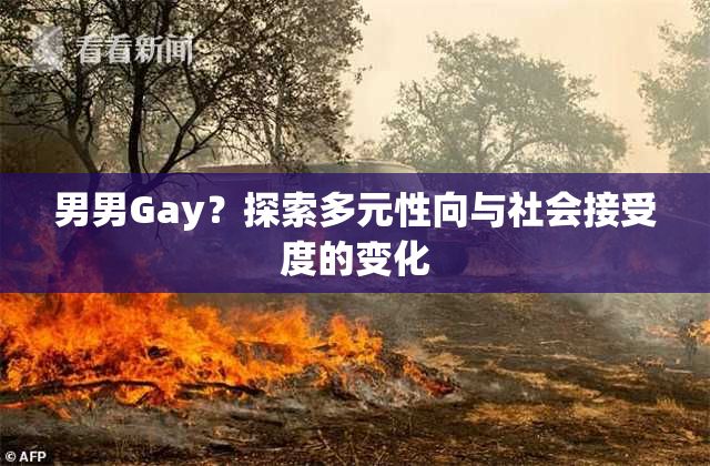 男男Gay？探索多元性向与社会接受度的变化