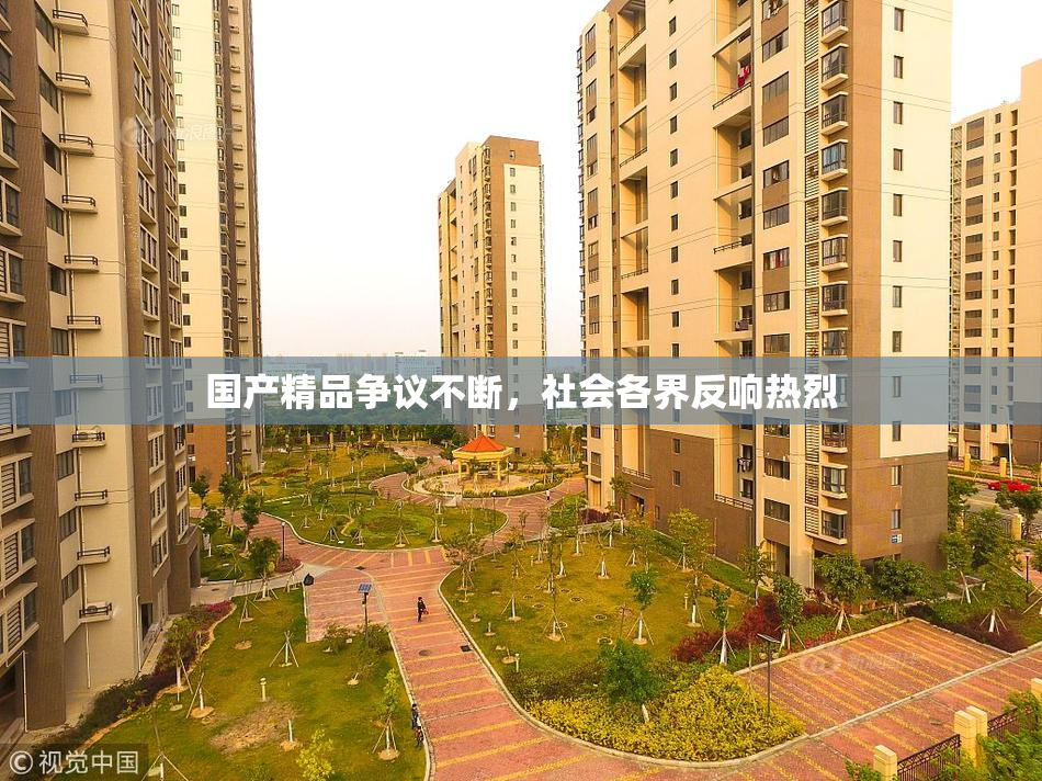 国产精品争议不断，社会各界反响热烈