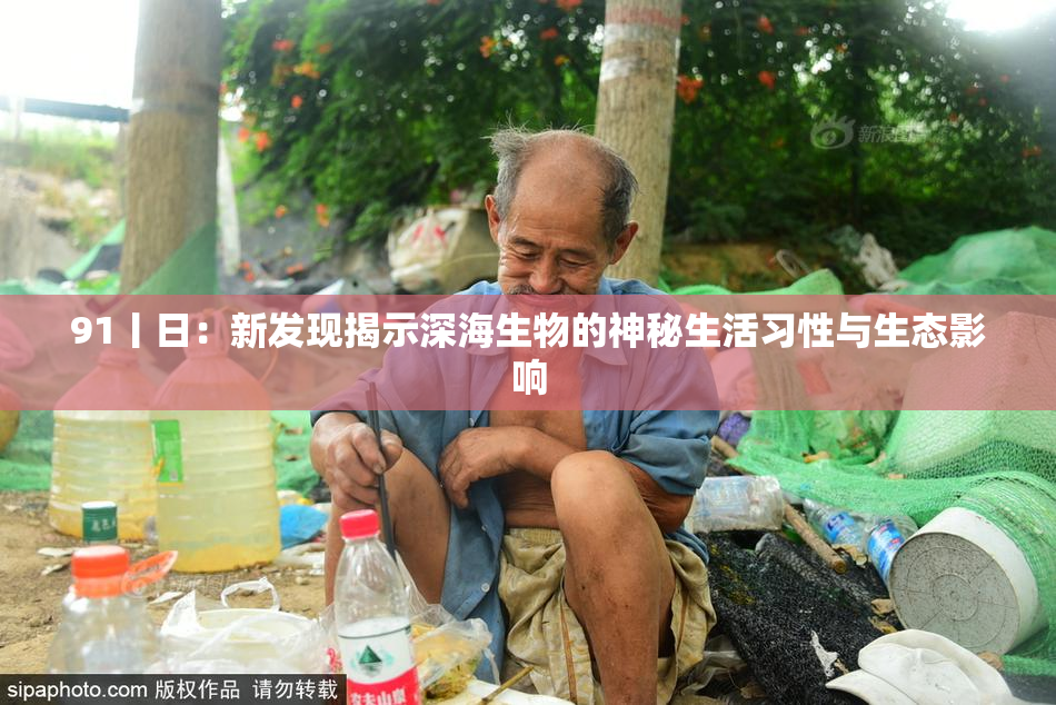 91丨日：新发现揭示深海生物的神秘生活习性与生态影响