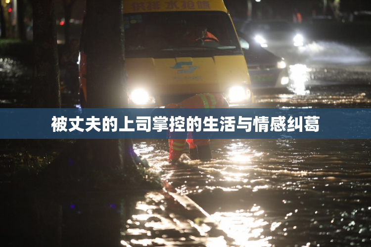 被丈夫的上司掌控的生活与情感纠葛