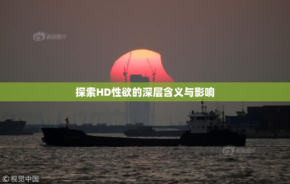 探索HD性欲的深层含义与影响
