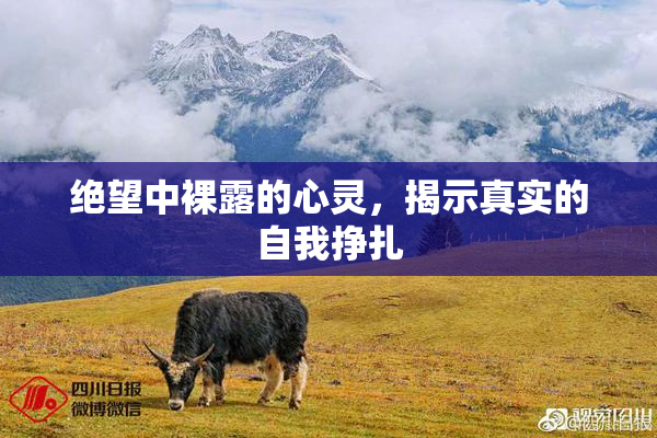 绝望中裸露的心灵，揭示真实的自我挣扎