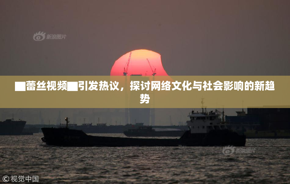▇蕾丝视频▇引发热议，探讨网络文化与社会影响的新趋势