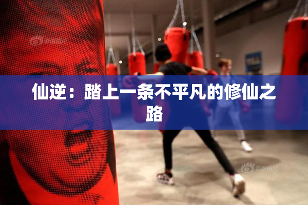 仙逆：踏上一条不平凡的修仙之路