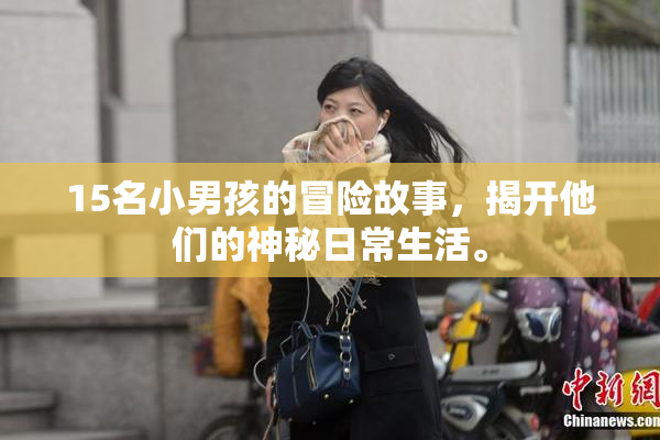 15名小男孩的冒险故事，揭开他们的神秘日常生活。