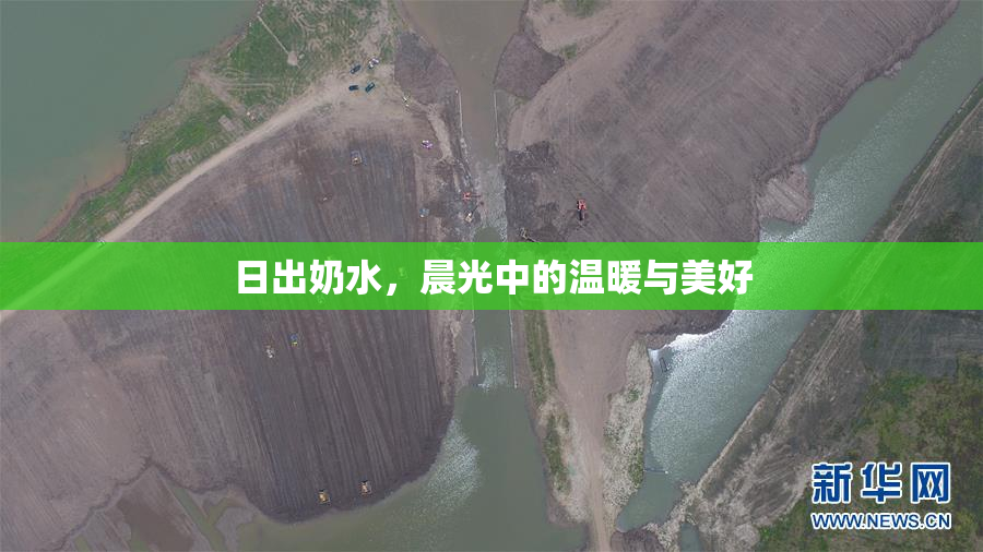日出奶水，晨光中的温暖与美好