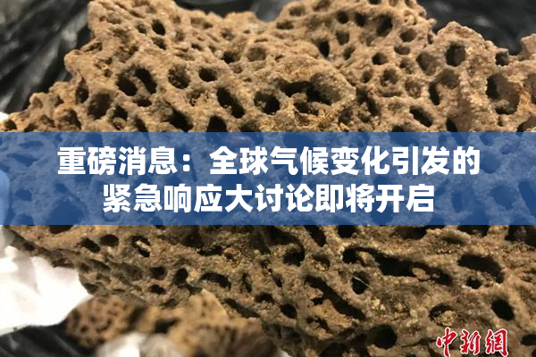 重磅消息：全球气候变化引发的紧急响应大讨论即将开启