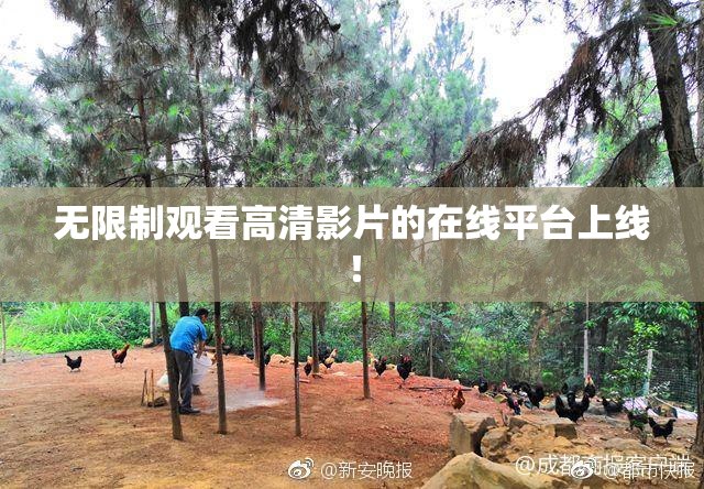 无限制观看高清影片的在线平台上线！