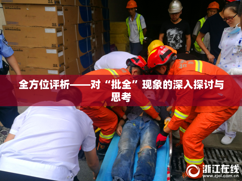 全方位评析——对“批全”现象的深入探讨与思考