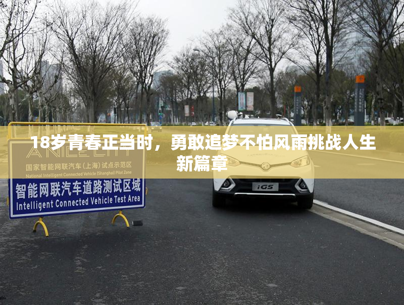 18岁青春正当时，勇敢追梦不怕风雨挑战人生新篇章