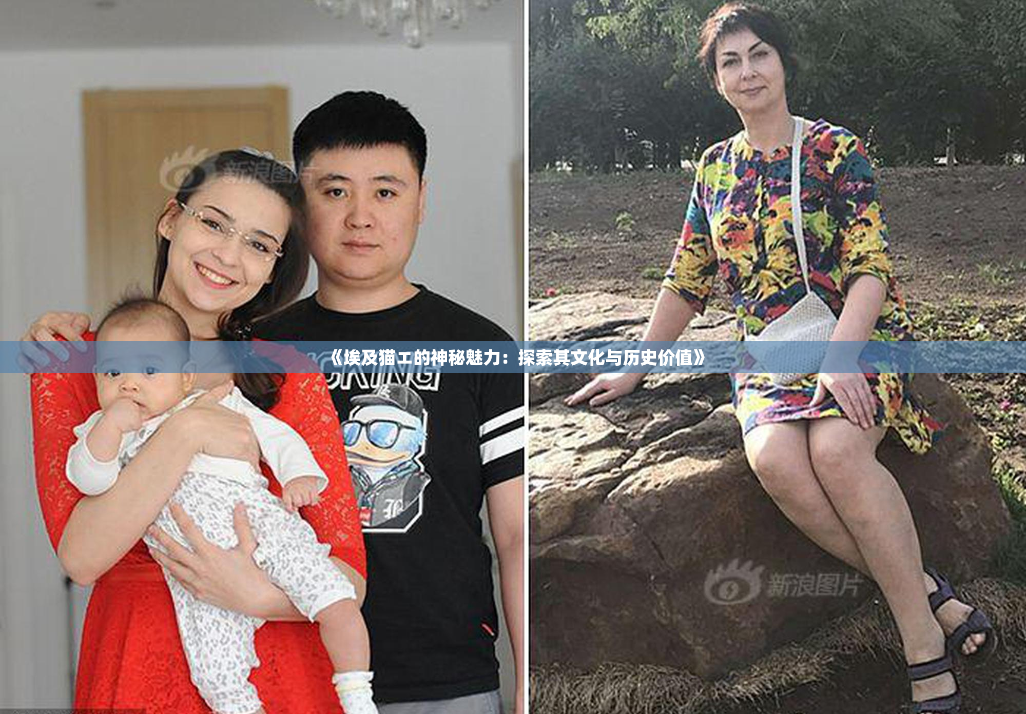 《埃及猫エ的神秘魅力：探索其文化与历史价值》