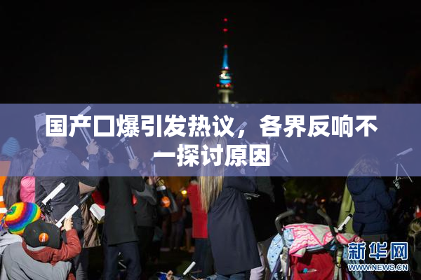 国产囗爆引发热议，各界反响不一探讨原因
