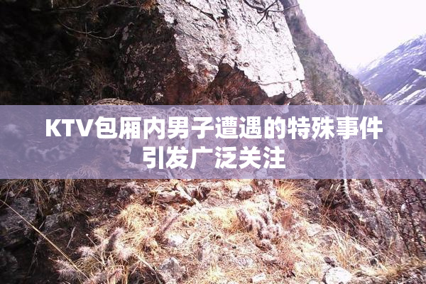 KTV包厢内男子遭遇的特殊事件引发广泛关注