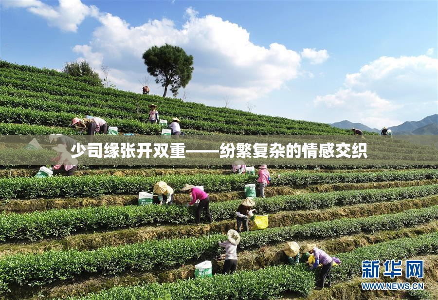 少司缘张开双重——纷繁复杂的情感交织