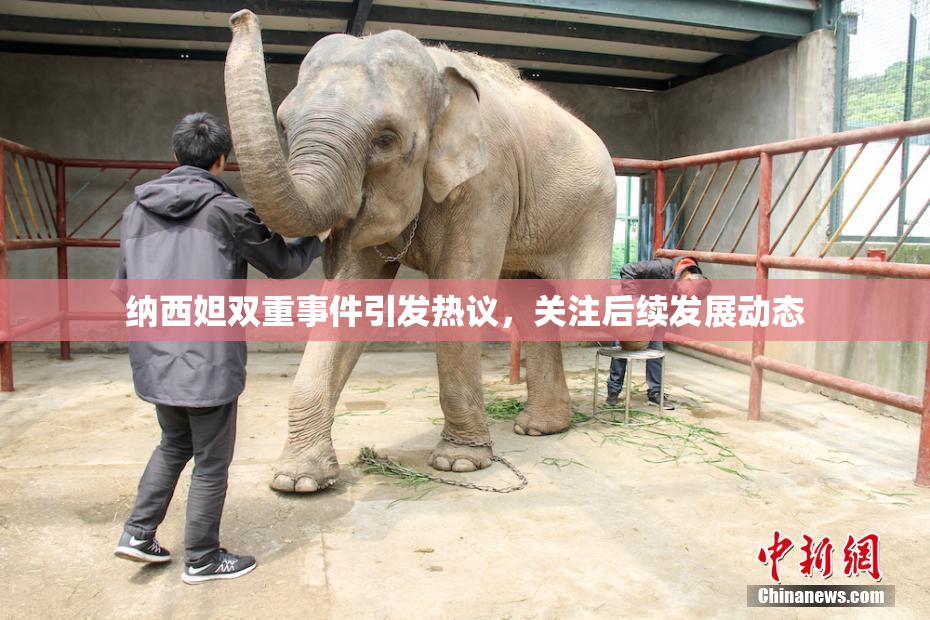 纳西妲双重事件引发热议，关注后续发展动态