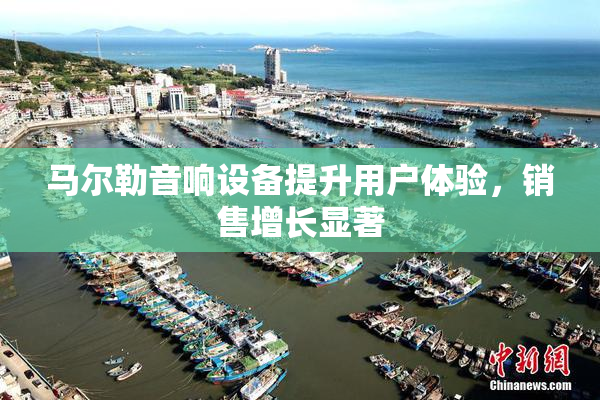 马尔勒音响设备提升用户体验，销售增长显著