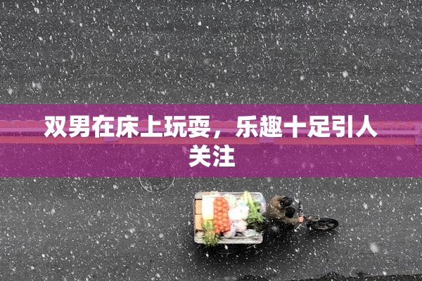 双男在床上玩耍，乐趣十足引人关注