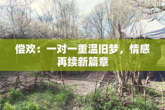 偿欢：一对一重温旧梦，情感再续新篇章