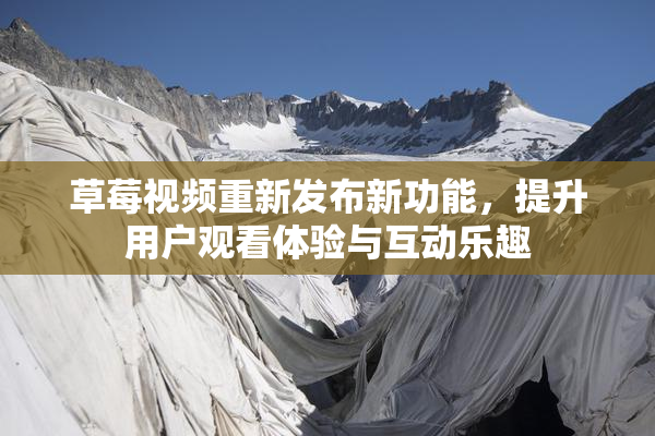 草莓视频重新发布新功能，提升用户观看体验与互动乐趣