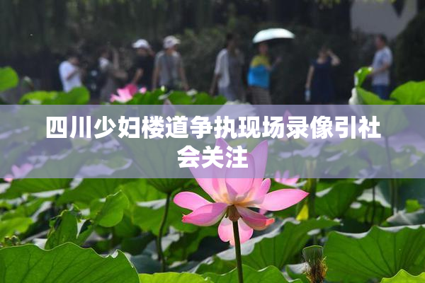 四川少妇楼道争执现场录像引社会关注