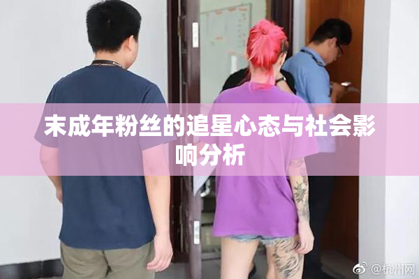 末成年粉丝的追星心态与社会影响分析