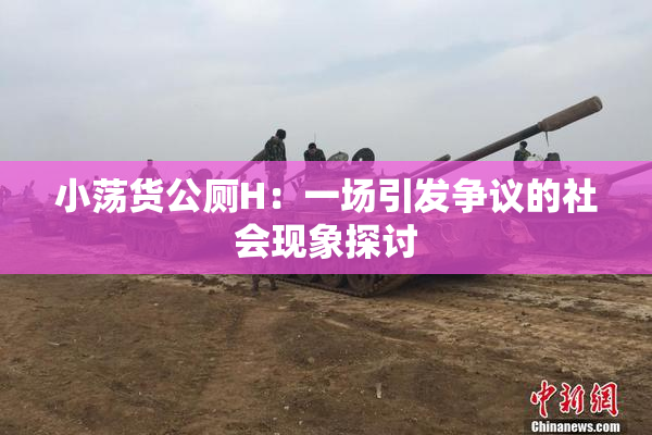 小荡货公厕H：一场引发争议的社会现象探讨