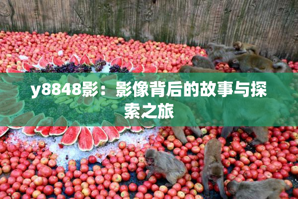 y8848影：影像背后的故事与探索之旅