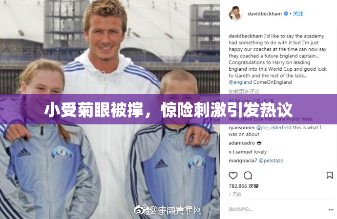 小受菊眼被撑，惊险刺激引发热议