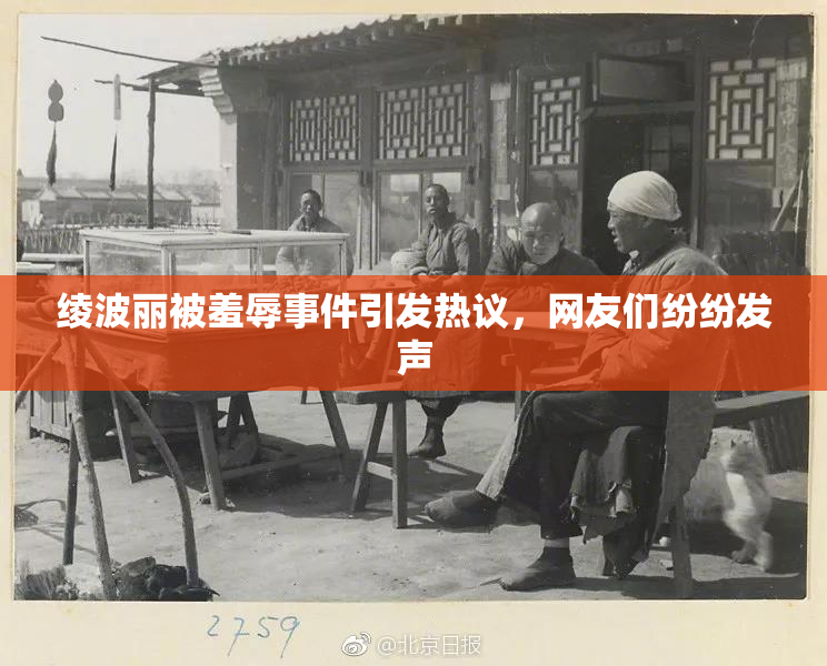 绫波丽被羞辱事件引发热议，网友们纷纷发声