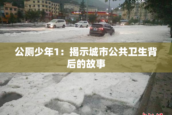 公厕少年1：揭示城市公共卫生背后的故事