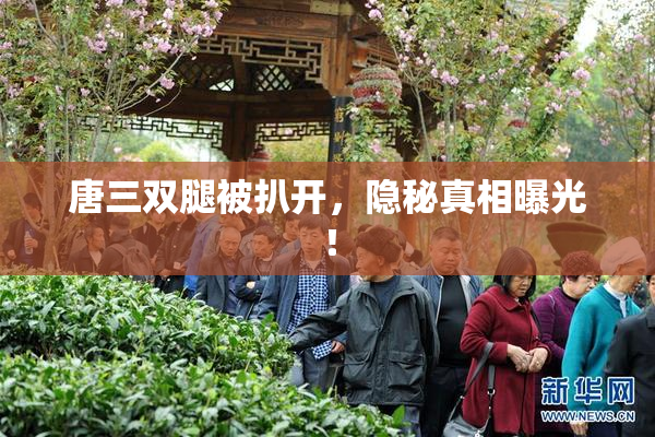 唐三双腿被扒开，隐秘真相曝光！